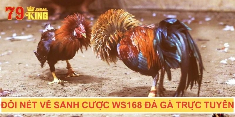 Đôi nét về sảnh cược WS168 đá gà trực tuyến